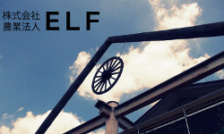 ㈱エルフ　えるふ農園